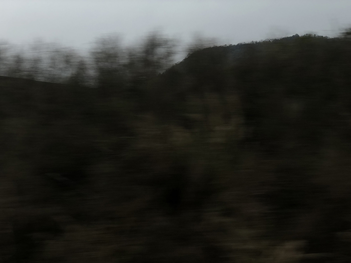 Ng Hon Lam Photography