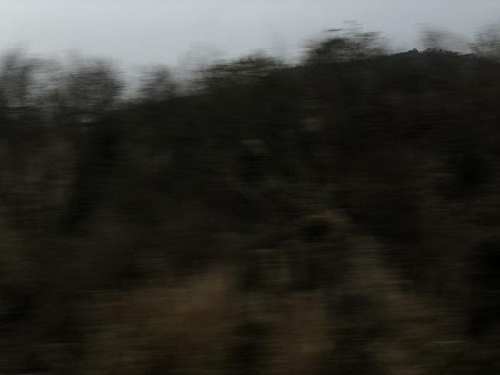 Ng Hon Lam Photography