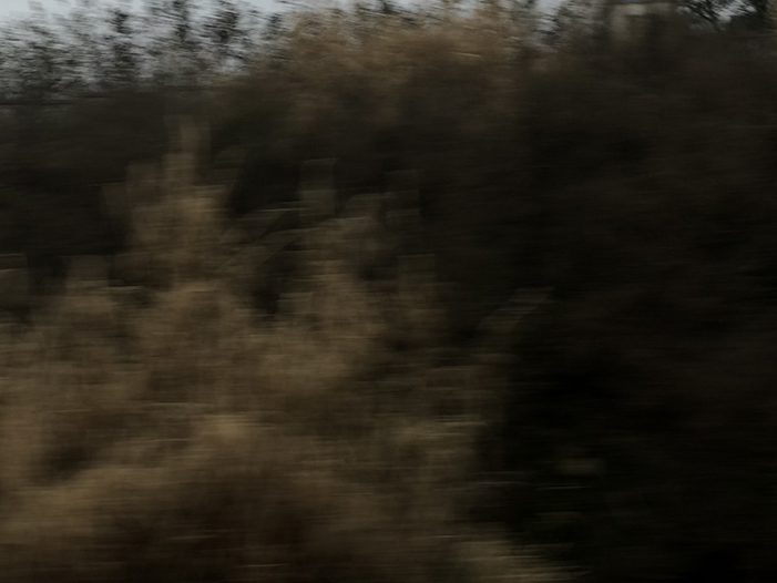 Ng Hon Lam Photography