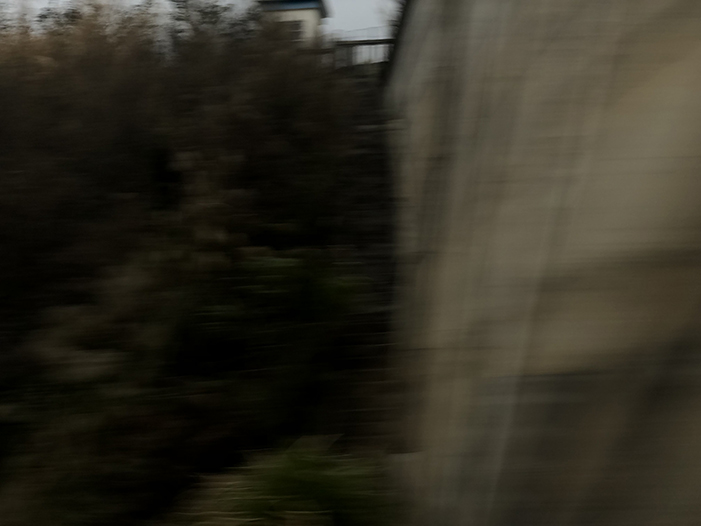 Ng Hon Lam Photography