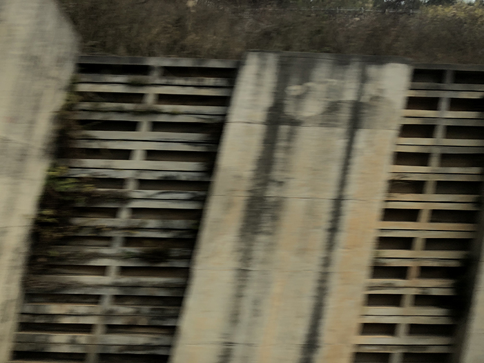 Ng Hon Lam Photography