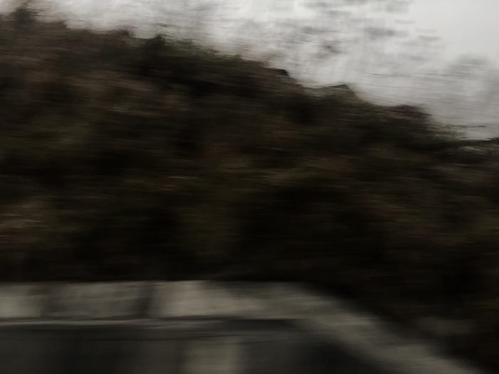 Ng Hon Lam Photography