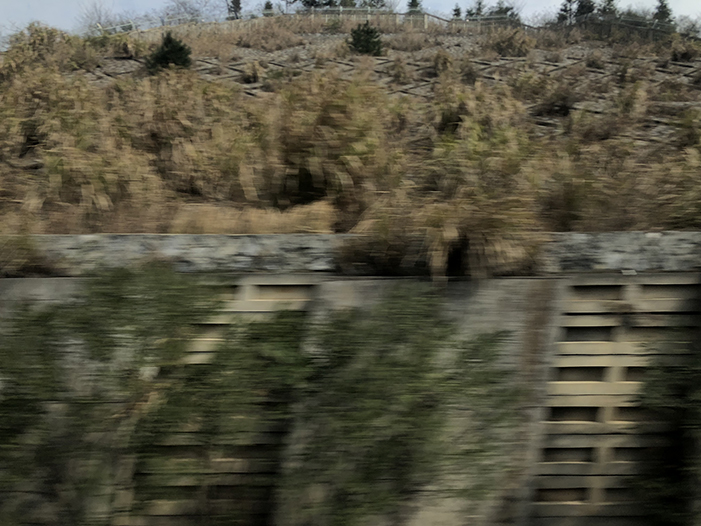 Ng Hon Lam Photography