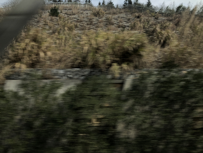 Ng Hon Lam Photography