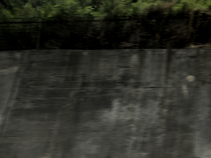 Ng Hon Lam Photography