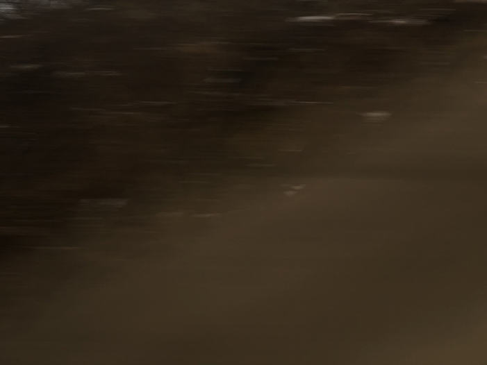 Ng Hon Lam Photography