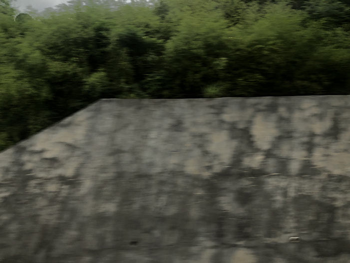 Ng Hon Lam Photography