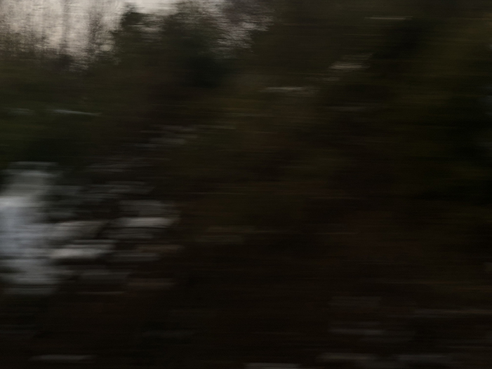 Ng Hon Lam Photography