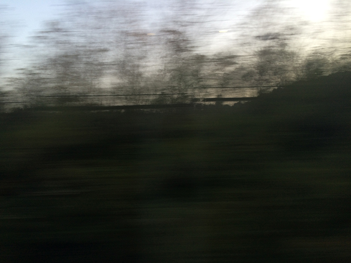 Ng Hon Lam Photography