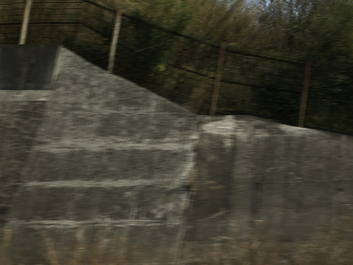 Ng Hon Lam Photography