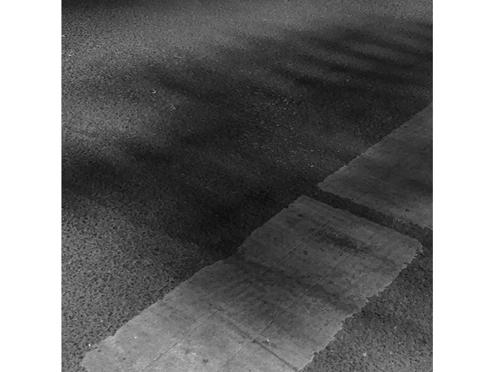 Ng Hon Lam Photography