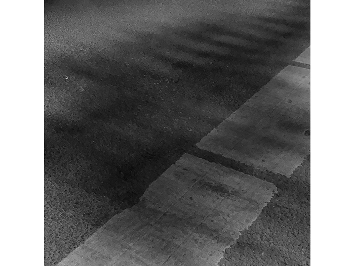 Ng Hon Lam Photography