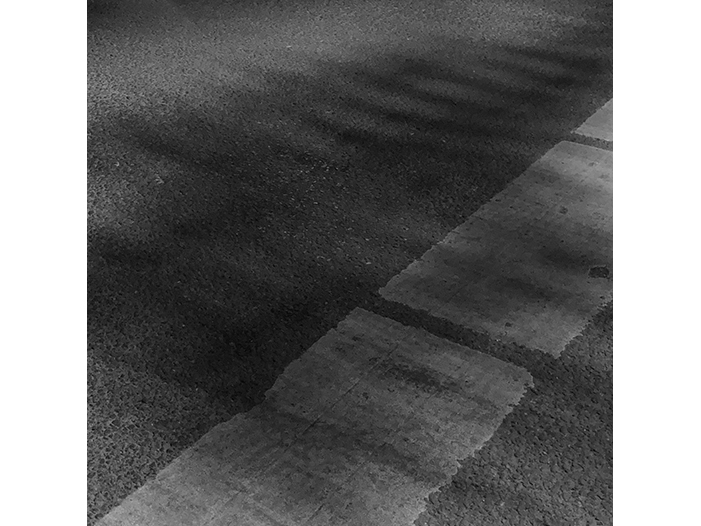 Ng Hon Lam Photography