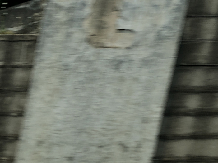 Ng Hon Lam Photography