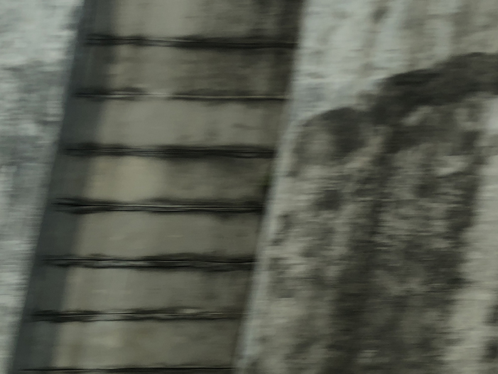 Ng Hon Lam Photography