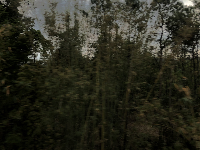 Ng Hon Lam Photography