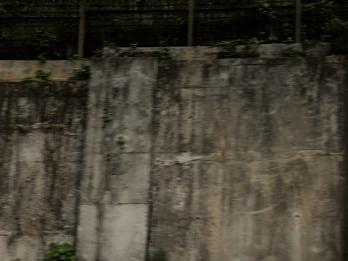 Ng Hon Lam Photography