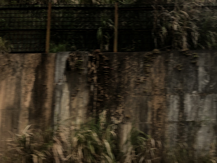 Ng Hon Lam Photography