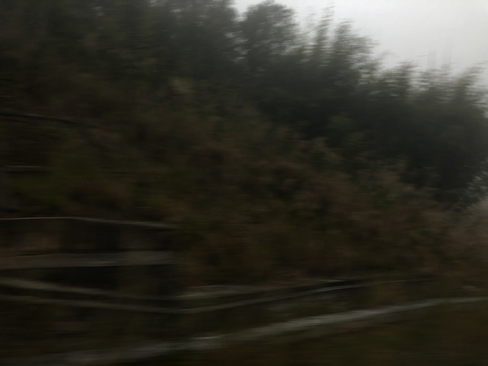 Ng Hon Lam Photography