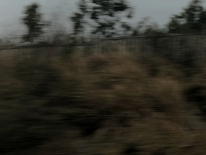 Ng Hon Lam Photography