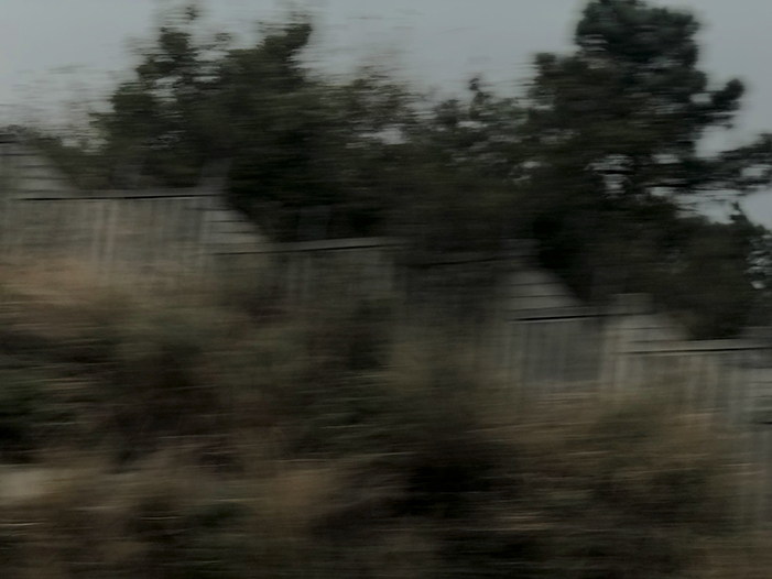 Ng Hon Lam Photography