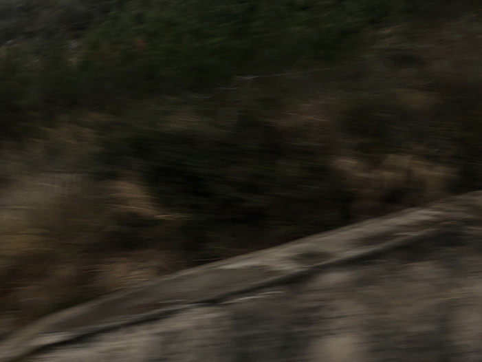 Ng Hon Lam Photography