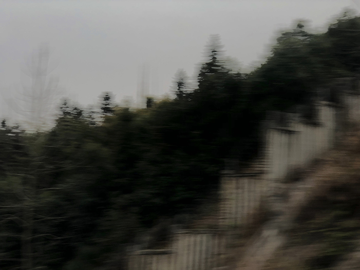 Ng Hon Lam Photography