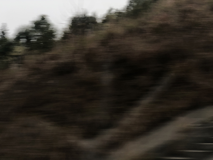 Ng Hon Lam Photography