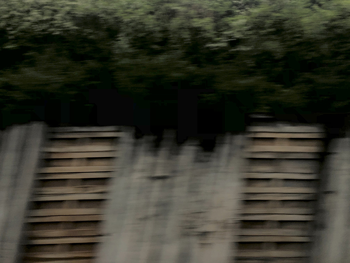 Ng Hon Lam Photography