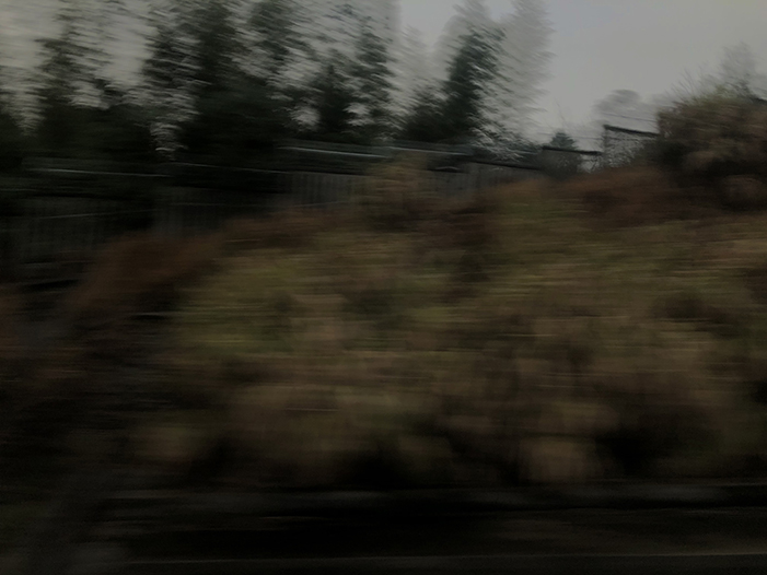 Ng Hon Lam Photography