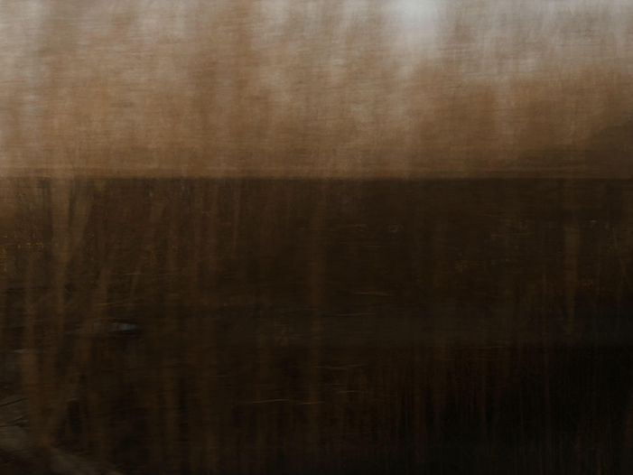 Ng Hon Lam Photography