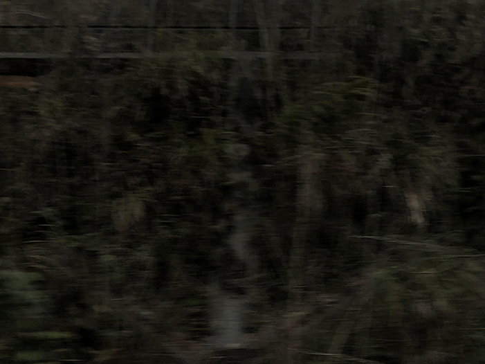 Ng Hon Lam Photography