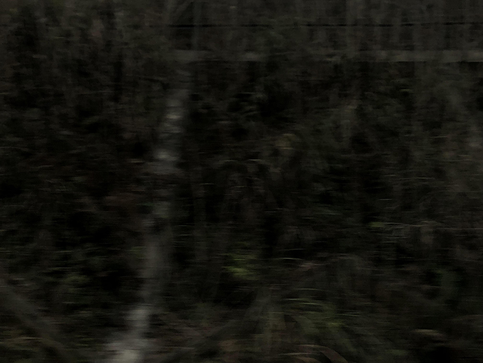 Ng Hon Lam Photography