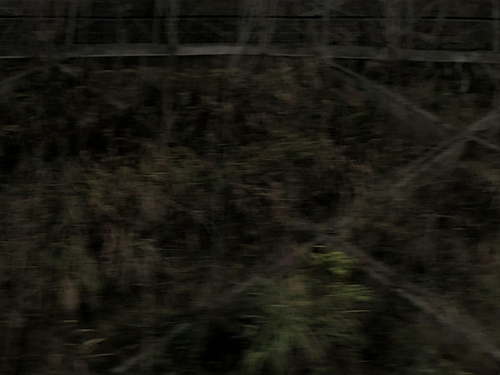 Ng Hon Lam Photography