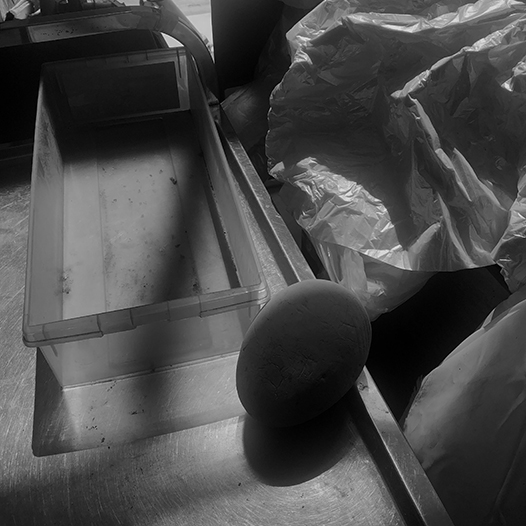 Ng Hon Lam Photography