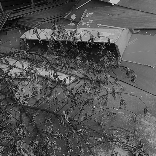 Ng Hon Lam Photography