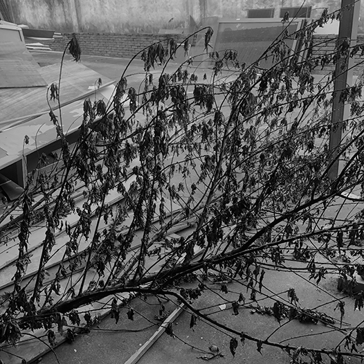 Ng Hon Lam Photography