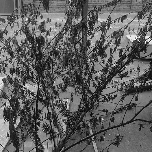 Ng Hon Lam Photography