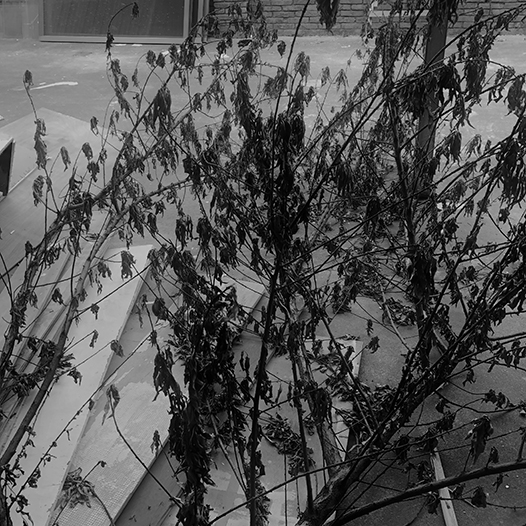 Ng Hon Lam Photography