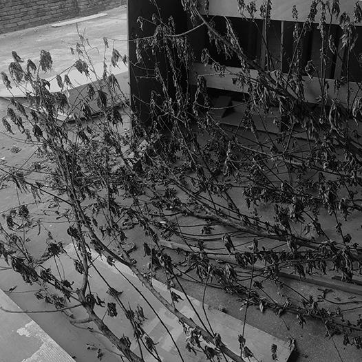 Ng Hon Lam Photography