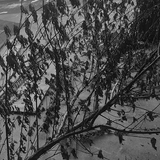 Ng Hon Lam Photography