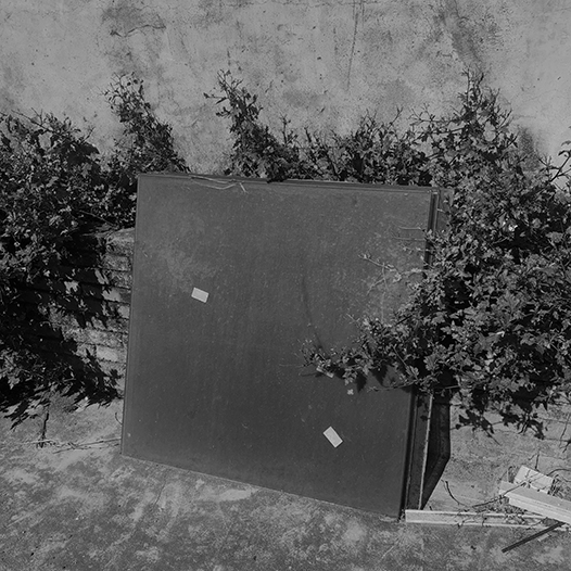 Ng Hon Lam Photography