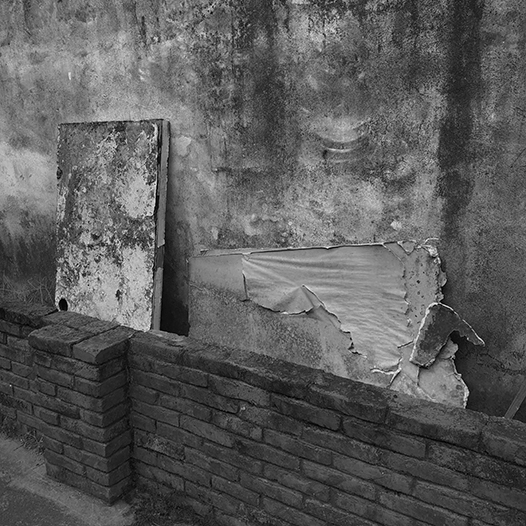 Ng Hon Lam Photography