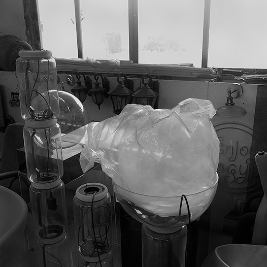 Ng Hon Lam Photography