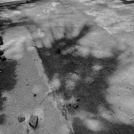 Ng Hon Lam Photography