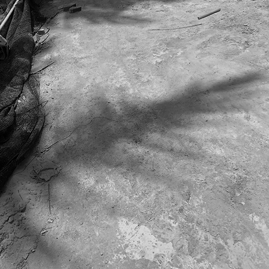 Ng Hon Lam Photography