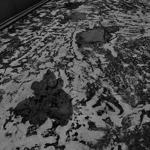 Ng Hon Lam Photography