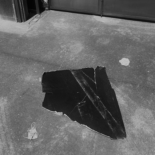 Ng Hon Lam Photography