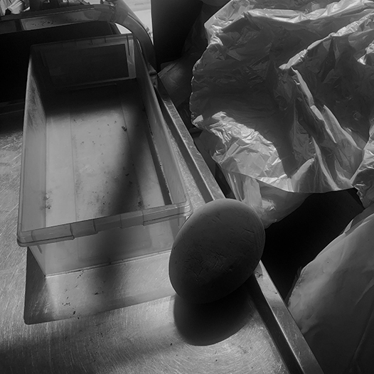 Ng Hon Lam Photography