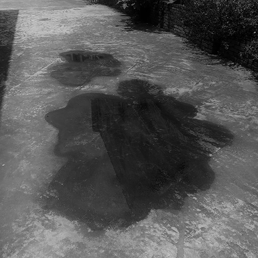 Ng Hon Lam Photography